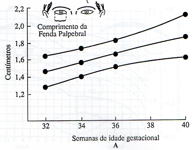COMPRIMENTO DA FENDA PALPEBRAL - 32 A 40 SEMANAS DE IDADE GESTACIONAL
